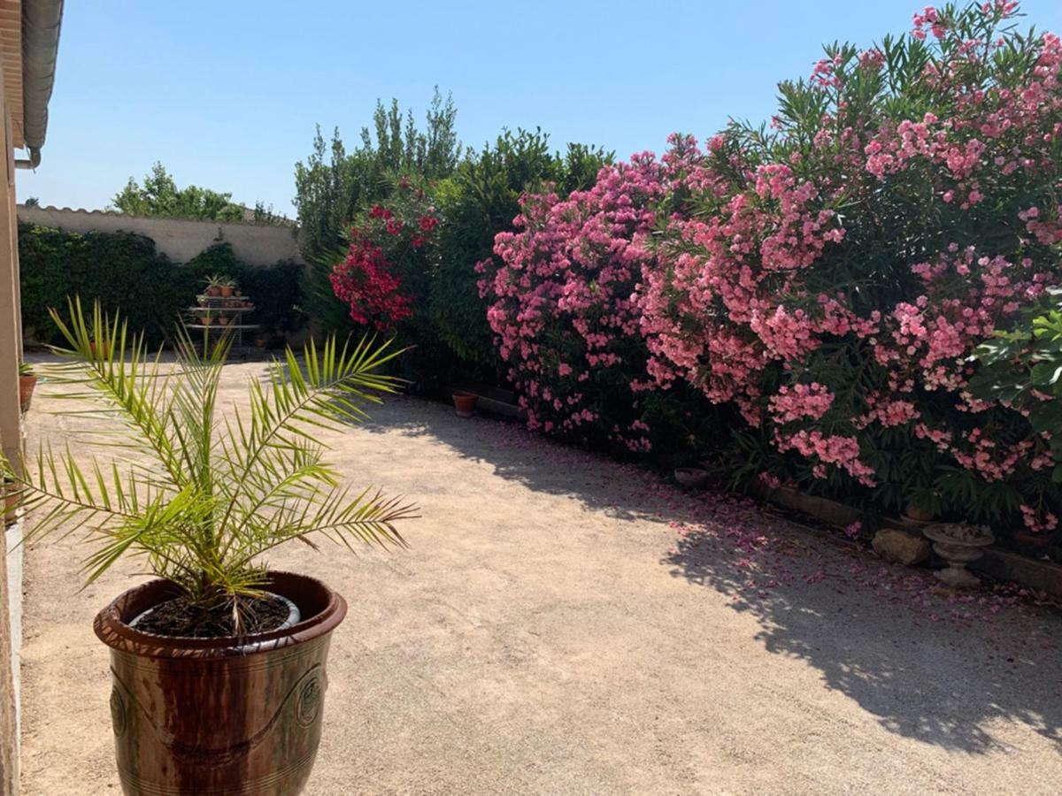 Appartement Salvaterra Sauveterre  المظهر الخارجي الصورة